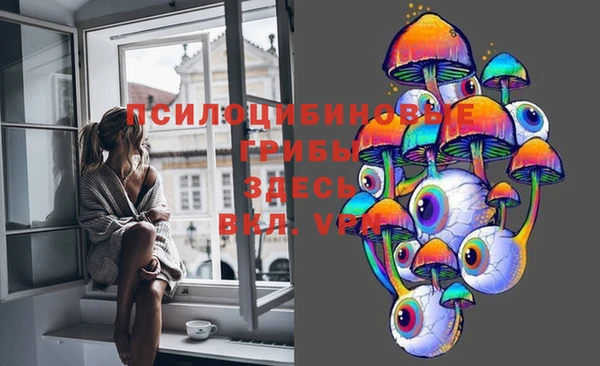 a pvp Зеленодольск