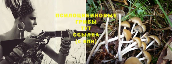 a pvp Зеленодольск