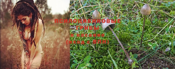 a pvp Зеленодольск